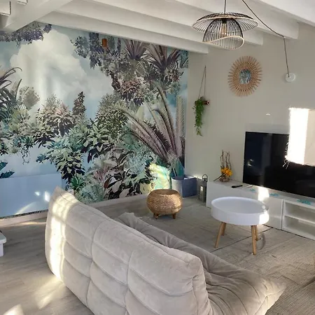 Appt Ambiance Exotique 2 Ch Piscine Lagon Apartment Tarbes