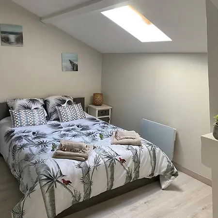 Appt Ambiance Exotique 2 Ch Piscine Lagon Apartment Tarbes