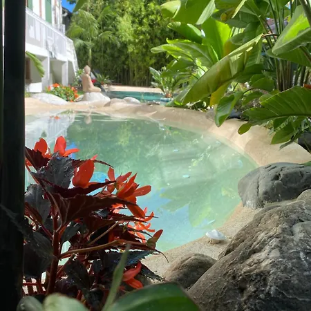 Appt Ambiance Exotique 2 Ch Piscine Lagon *